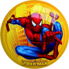 Ball Spider Man 9"