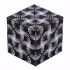 Shashibo Cube Black & White