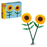 40524 Sonnenblumen