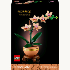 10343  Botanical Mini-Orchidee