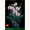 10311 Icons Orchidee