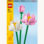 40647 Lotusblumen